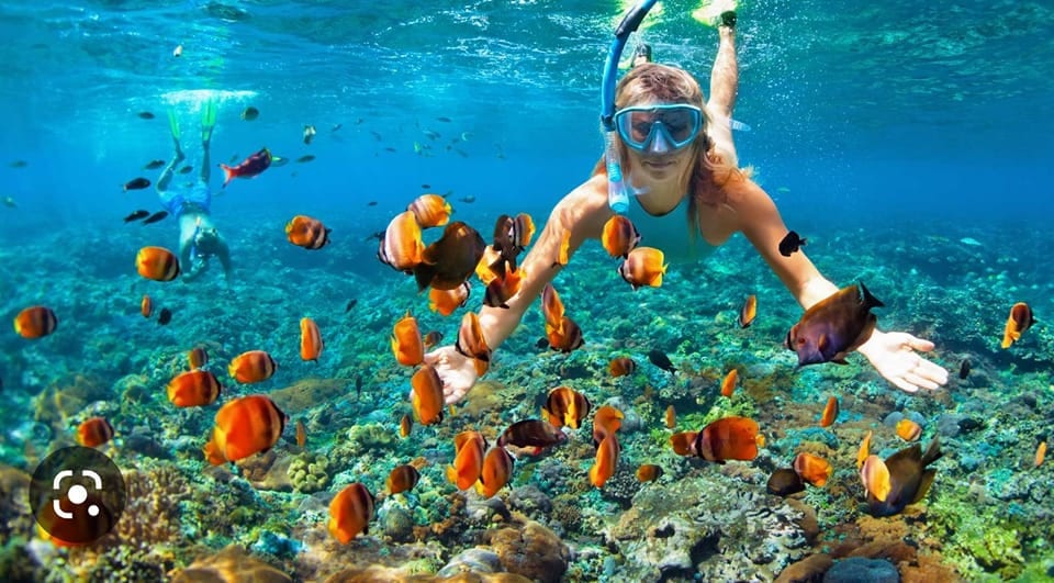 Snorkeler swimming with tropical fish in clear Caribbean-blue water